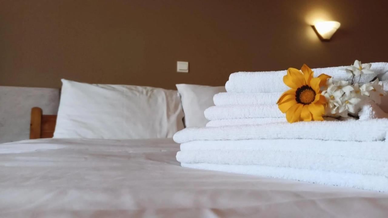 Βαδόκειος Γη Otel Zitsa Dış mekan fotoğraf