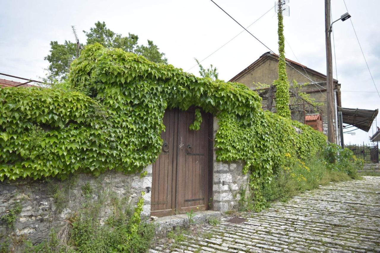 Βαδόκειος Γη Otel Zitsa Dış mekan fotoğraf